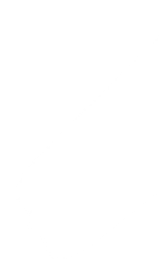 b1-bg-shape-2